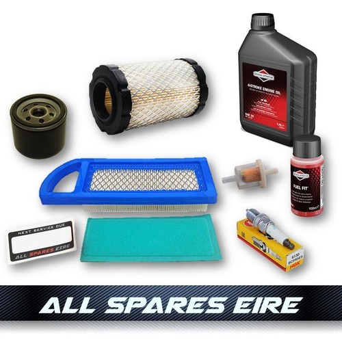Kit tagliando motore briggs - tagliando,